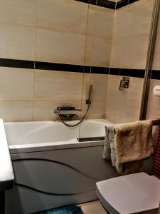 Ванна кімната в Szczyrk MountainSki Apartament