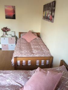 多尼戈爾的住宿－Ballydevitt Retreat，一间卧室配有两张床、一个梳妆台和一张床。