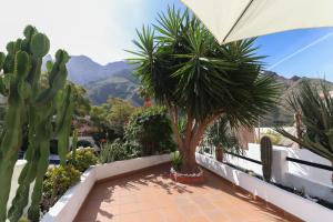 Gallery image of Casa Pepa Agaete in Agaete