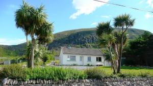 a white house with palm trees in front of a mountain at Tigh Cladach in Cahersiveen