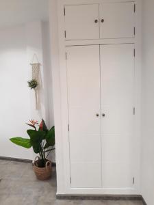 Fotografie z fotogalerie ubytování Apartamento pleno centro Wallada v destinaci Córdoba