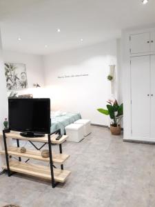 TV a/nebo společenská místnost v ubytování Apartamento pleno centro Wallada