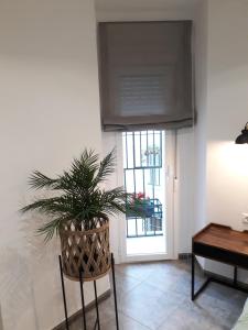 TV a/nebo společenská místnost v ubytování Apartamento pleno centro Wallada