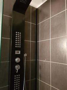 a bathroom with a shower with a tile wall at APPARTEMENT LOFT CROIX LILLE in Croix +6 photos