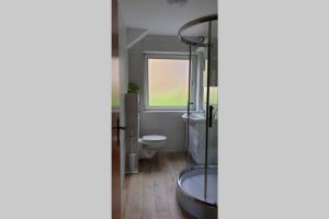bagno con doccia in vetro e servizi igienici di Mia Apartman, Eisenerz a Eisenerz