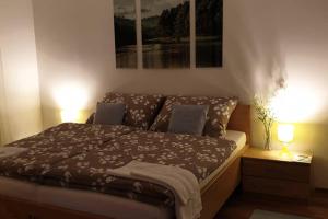 Postel nebo postele na pokoji v ubytování Mia Apartman, Eisenerz