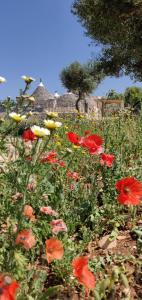 A garden outside Trullo la perla di pietra
