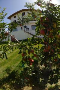 an apple tree in front of a house at Villa SALAM in Ifrane
