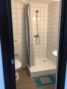 a bathroom with a shower and a toilet at Casa Flori de Sare in Slănic