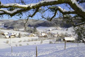 un pueblo cubierto de nieve con casas a lo lejos en Ferienhaus Gehring en Schuttertal