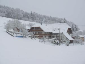 une maison recouverte de neige devant dans l'établissement Ferienhaus Gehring, à Schuttertal