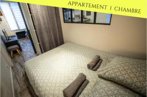Les Appartements du Pont Joubert في بواتييه: غرفة نوم عليها سرير ووسادتين