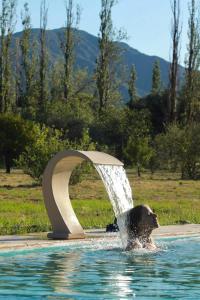 een beer is in het water onder een fontein bij Posada Del Cielo in Luján