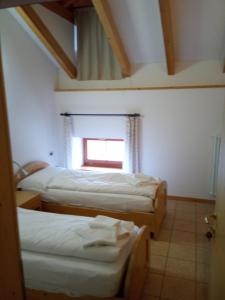 a room with two beds and a window at Taxus Hostel in Pieve Tesino