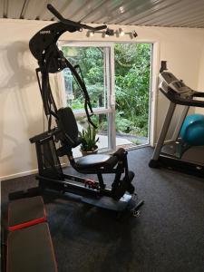 Fitness centrum a/nebo fitness zařízení v ubytování Tui2 Macandrew Bay