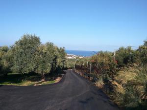 an empty road with trees and the ocean in the background at House of Polymnia in Sisi