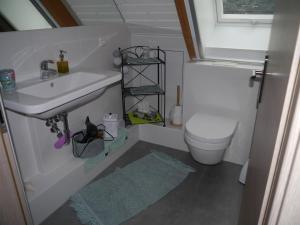 een kleine badkamer met een wastafel en een toilet bij Ferienwohnung im Neubauernweg 3 in Hoppegarten
