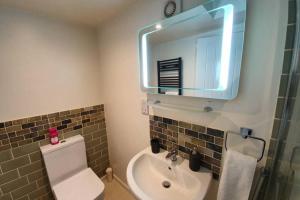 a bathroom with a toilet and a sink and a mirror at Annex in Chippenham with Parking and WIFI in Chippenham