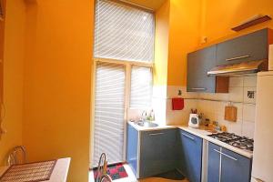 a kitchen with a sink, stove, microwave and a window at Park and Opera Apartments in Lviv