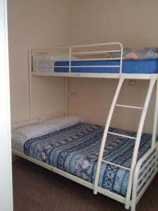 2 łóżka piętrowe w pokoju z łóżkiem w obiekcie Ostello Angolo Verde w mieście Angolo Terme