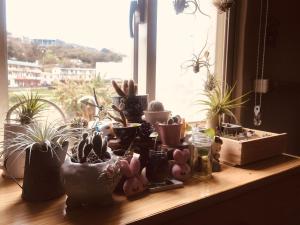 Foto dalla galleria di Matsu B&B a Nangan