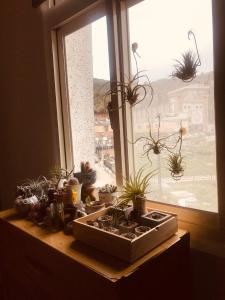 a kitchen counter with a window with potted plants on it at Matsu B&B in Nangan