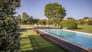 - une piscine dans une cour avec des chaises et des arbres dans l'établissement Agriturismo I Tre Fossi, à Magliano in Toscana