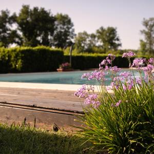 Zahrada ubytování Agriturismo I Tre Fossi