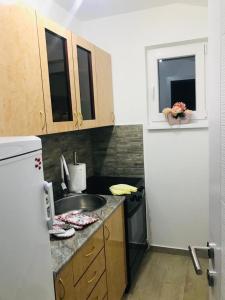 Eldhús eða eldhúskrókur á Apartman Jela