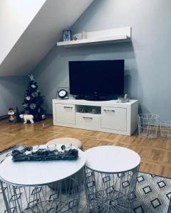 Sjónvarps- og/eða afþreyingartæki á Apartman Jela