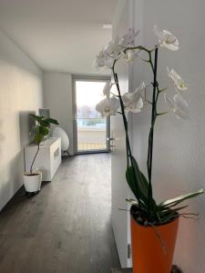 Fotografie z fotogalerie ubytování Central & Elegant Room in Biel v destinaci Biel