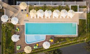 an overhead view of a swimming pool with umbrellas at The Aviary Hotel in Siem Reap