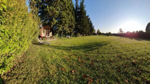 Un campo de hierba con una casa a lo lejos en Roulotte du Soleil - Mas du Soleil, en Eyragues