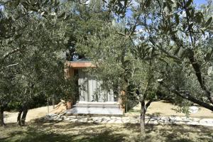 Zahrada ubytování Villa Cicolina