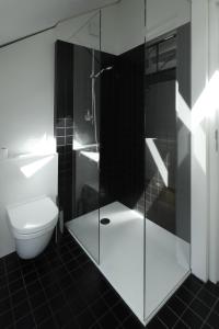 a bathroom with a toilet and a glass shower at ART_is(t) House - an unique design experience in Luxembourg