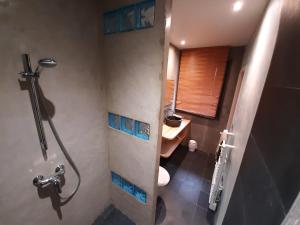 a bathroom with a shower and a toilet and a sink at Le Clos du Bois Joli in Lagnieu +38 photos