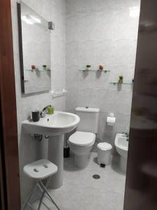 uma casa de banho branca com um WC e um lavatório em Margarida House - Stone Apartment na Ribeira Grande