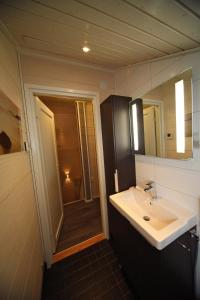 a bathroom with a sink and a mirror and a shower at Himos Villa Nummenranta 2 in Säyrylä