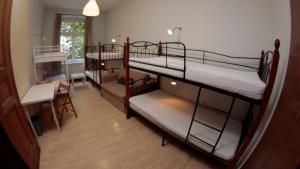 Двухъярусная кровать или двухъярусные кровати в номере Pit Stop Hostel