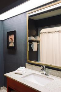 a bathroom with a sink and a large mirror at Wildwood Lodge & Suites in Clive