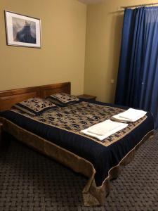1 dormitorio con 1 cama con cortina azul en Rudzupuķes en Svente