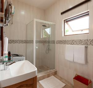 a bathroom with a sink and a shower at Stone Self Catering Apartment in Grand'Anse Praslin