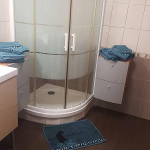um chuveiro com uma porta de vidro na casa de banho em La Résidence M*C em Semur-en-Auxois