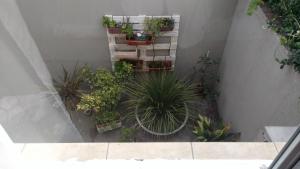 una vista elevada de un jardín con macetas en Monoambiente Centrico Pihue en 