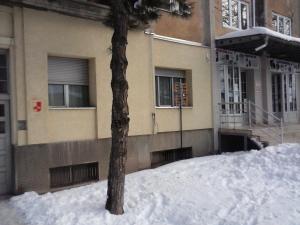 a tree in the snow in front of a building at Apartman Veljic in Niš