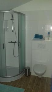 een badkamer met douche en toilet bij Apartmenthaus Kornatiblick in Tisno