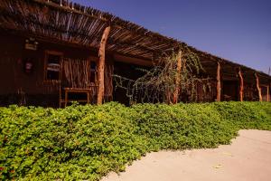 Afbeelding uit fotogalerij van Casa Lickana B&B in San Pedro de Atacama