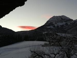 Przyroda w pobliżu tego domu wakacyjnego