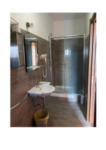 uma casa de banho com um lavatório e um chuveiro em Alloggio turistico em Capodimonte