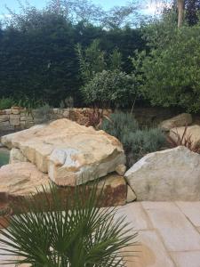 a rock garden with two large rocks and a plant at T2 entre mer et montagne in Larressore